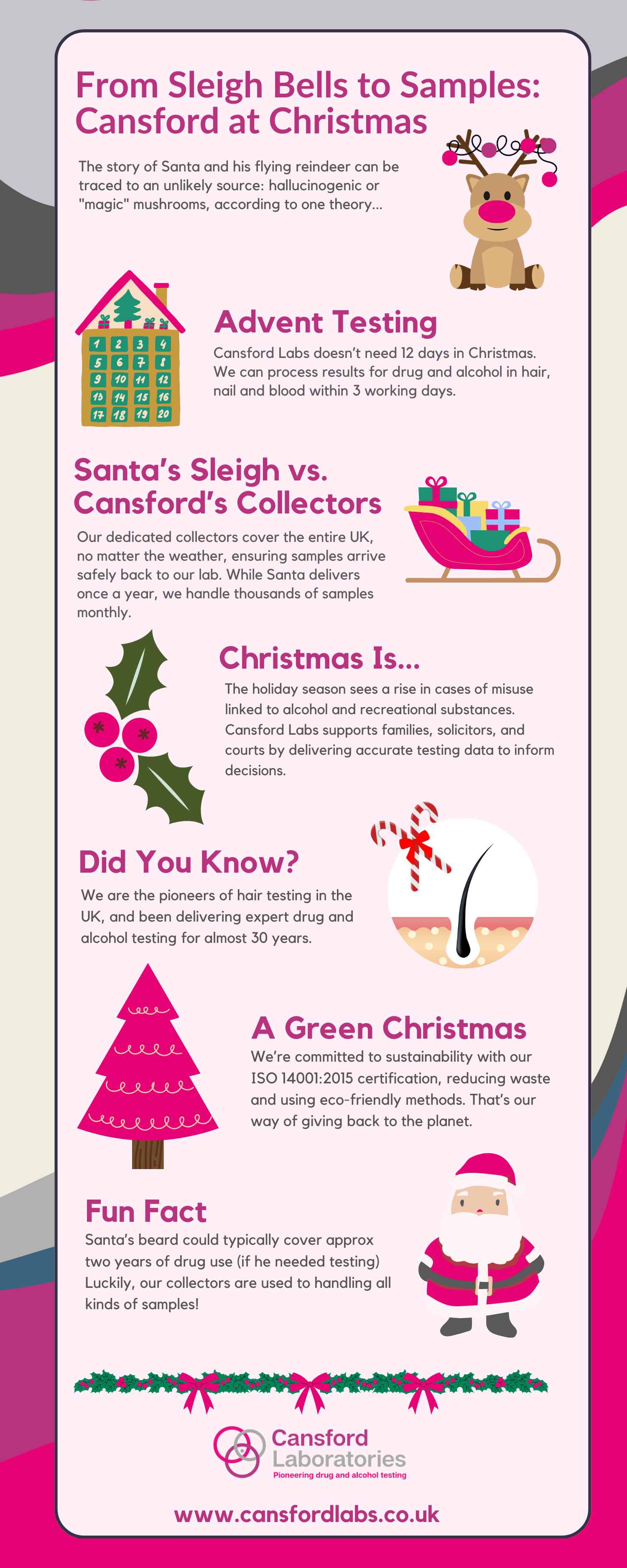 Infographic featuring festive icons like Santa, reindeer, and holly, highlighting Cansford Labs’ Christmas services, sustainability, and fun facts.