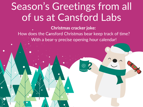 A snowy scene against a Cansford purple background, a Christmas bear and a Christmas cracker joke: How does the Cansford Christmas Bear keep track of time? A bear-y precise opening hour calendar