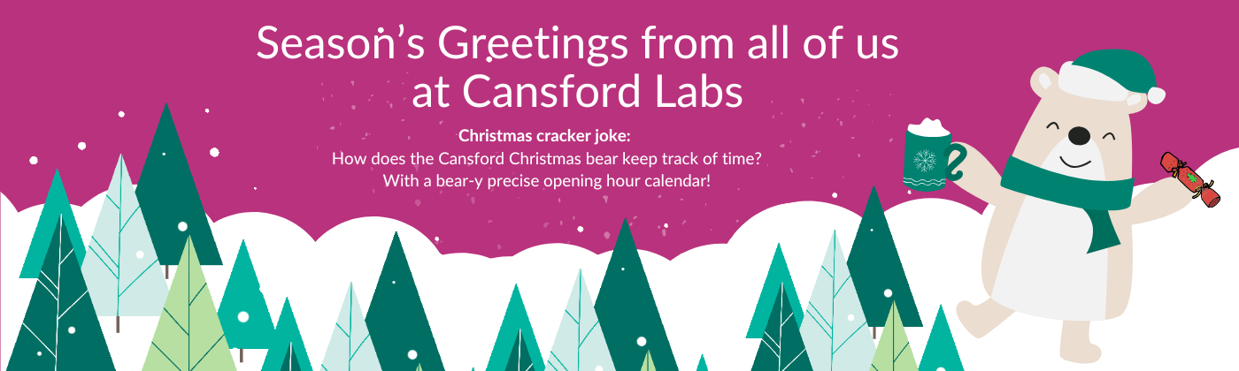 A snowy scene against a Cansford purple background, a Christmas bear and a Christmas cracker joke: How does the Cansford Christmas Bear keep track of time? A bear-y precise opening hour calendar