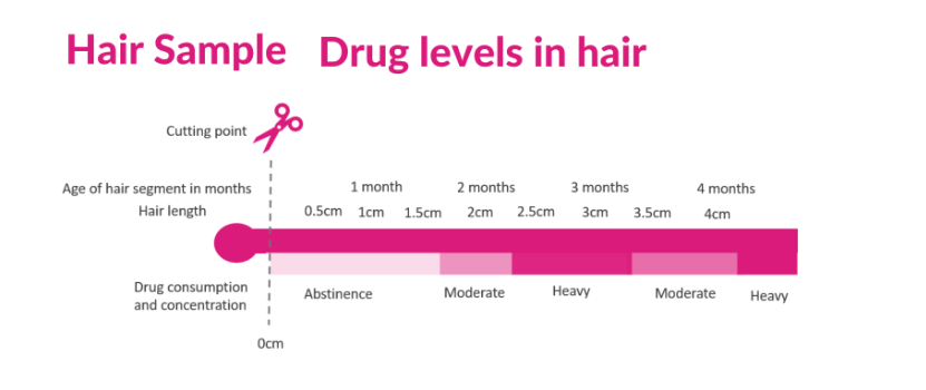 Hair sample drugs test