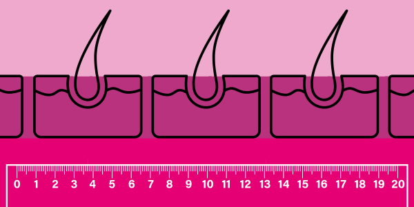 Diagram: A Cansford branded pink and purple background showing a hair strand and follicle growing out of a portion of scalp.