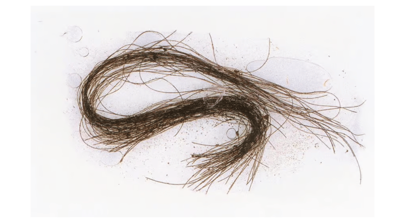 Menorcan hair strand