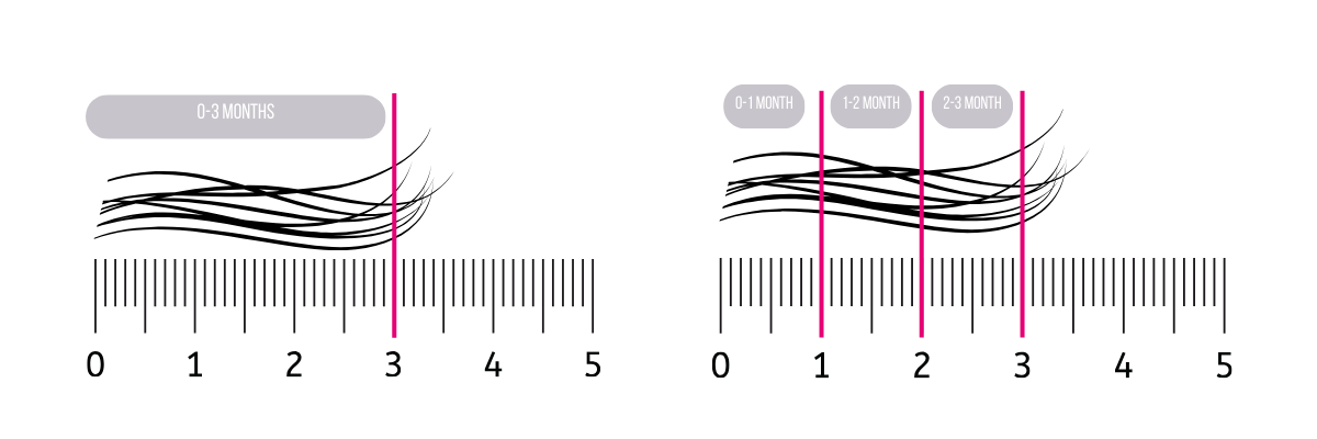 Overview and sectional comparison