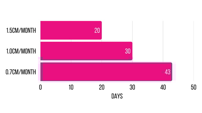 Windows of Detection
