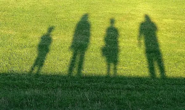 How hair collection could make or break a family law case