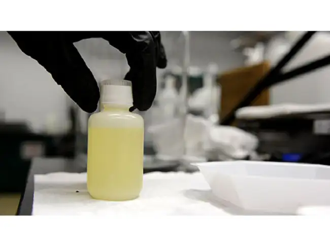 Synthetic urine: the lab perspective